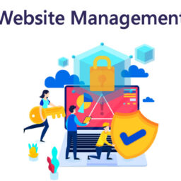 website-management